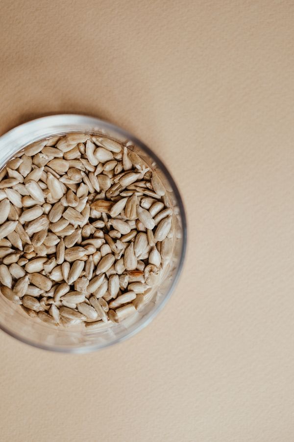 MOSHN Sunflower Seeds